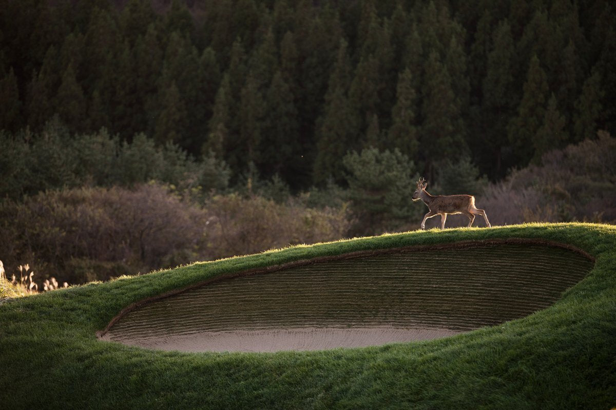 Sustainable Golf Week